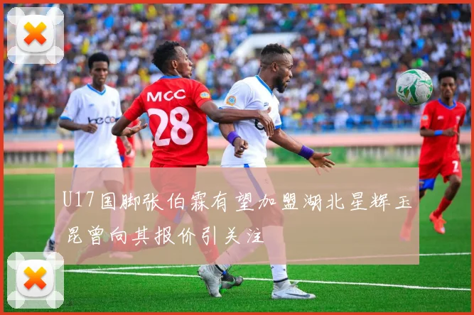 U17国脚张伯霖有望加盟湖北星辉玉昆曾向其报价引关注