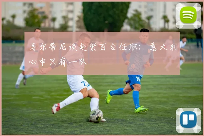 马尔蒂尼谈赴紫百合任职：意大利心中只有一队