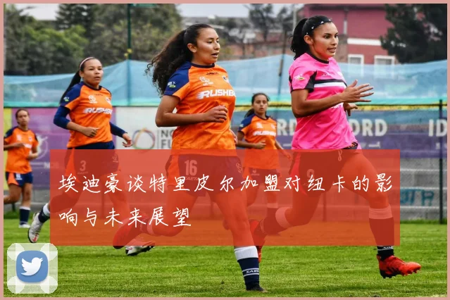 埃迪豪谈特里皮尔加盟对纽卡的影响与未来展望